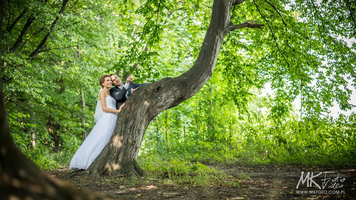 Fotografia ślubna Cieszyn